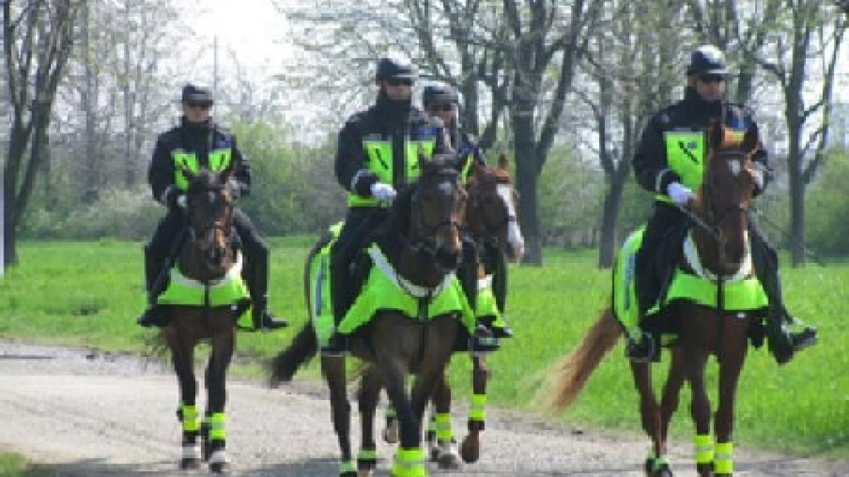 politia locala patruleaza calare pe bulevardele capitalei