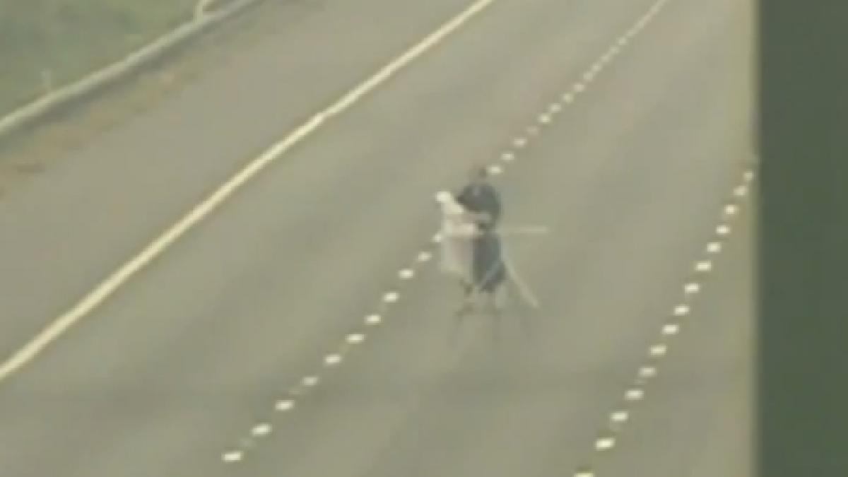 sport extrem un barbat isi calca o camasa pe cea mai circulata autostrada din marea britanie