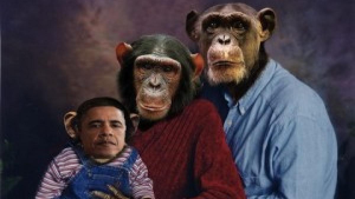 Chipul preşedintelui Barack Obama apare pe o maimuţă într-o poză ce a stârnit controverse