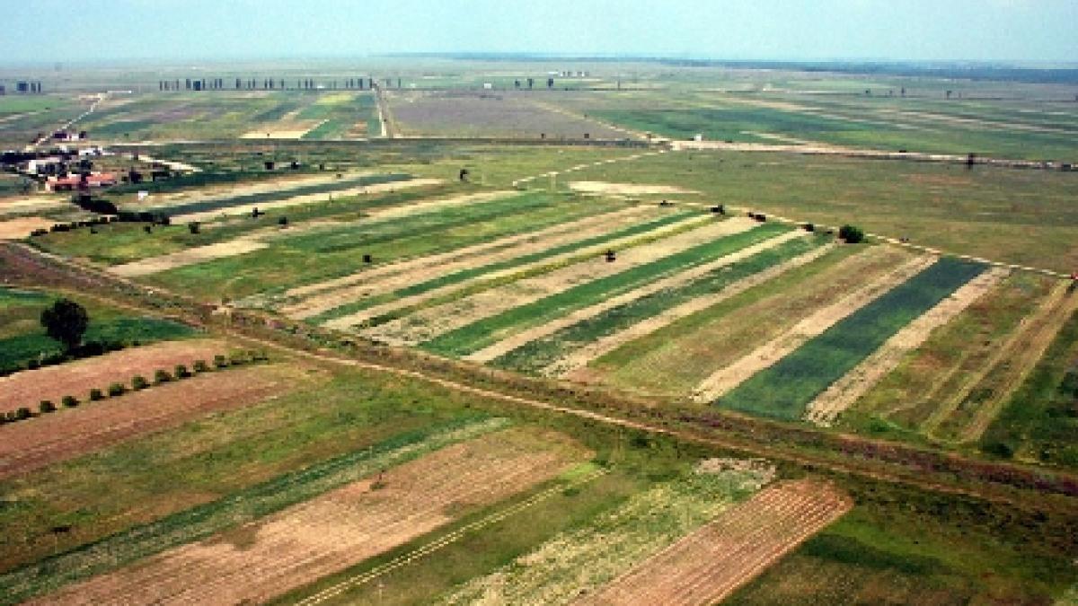 romania ar putea oferi ajutoare pentru fermieri de pana la 15 000 de euro din fonduri europene