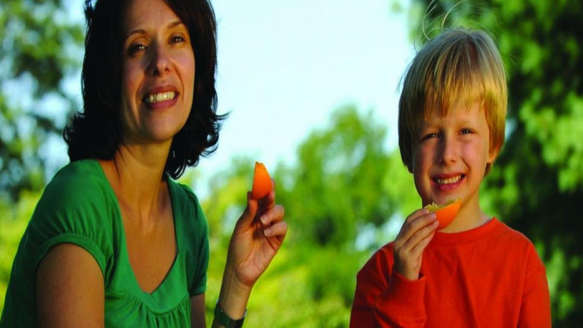 portia de sanatate volumul al 12 lea apare marti cu jurnalul national