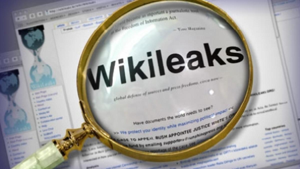 wikileaks un membru al qaeda ar fi facut afaceri cu oi in romania