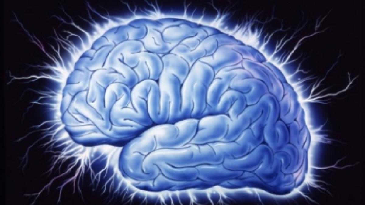 americanii au realizat cea mai complexa harta a creierului uman