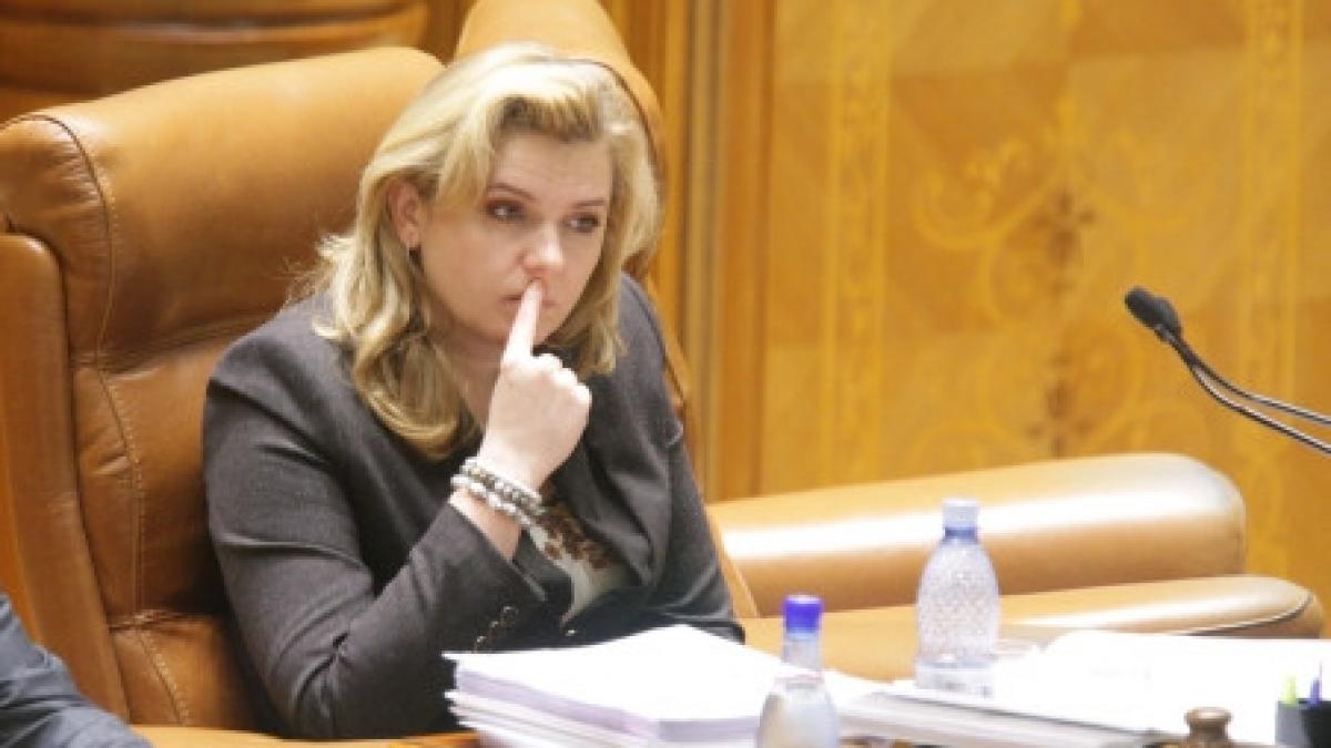 anastase sau macovei ar putea candida pentru functia de prim vicepresedinte al pdl