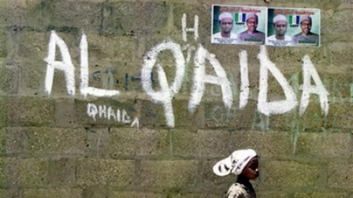 oferta de job al qaida angajeaza team leader urgent