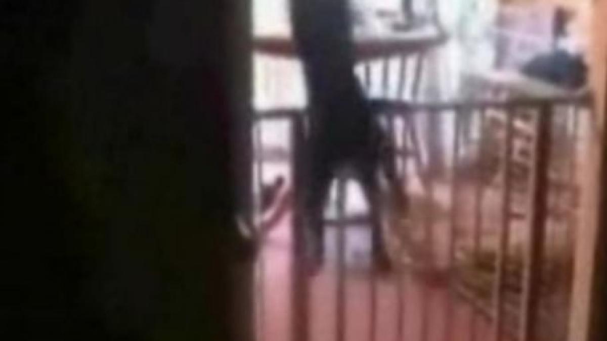 ce se intampla cu o pisica ametita care rateaza decolarea aterizeaza fortat