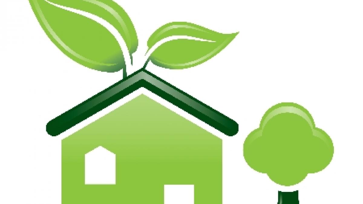 primul site cu produse ecologice din romania lansat peste doua saptamani