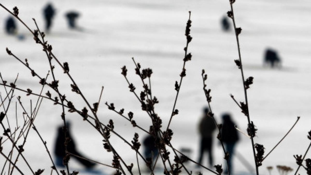 iarna in pragul verii stratul de zapada a ajuns si la 20 centimetri in harghita