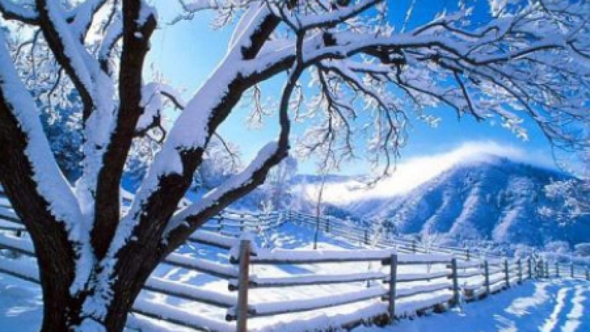 ninsoare ca in mijlocul iernii la munte un microbuz a ramas blocat in nameti