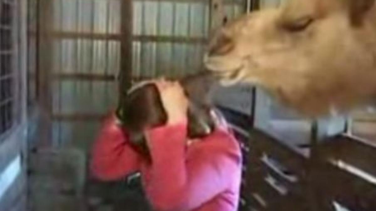 o camila mananca din parul unei reporterite in direct