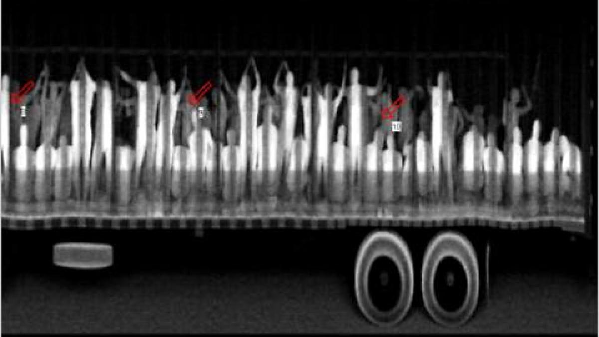 mexic peste 500 de imigranti ilegali ascunsi in doua camioane prinsi de autoritati