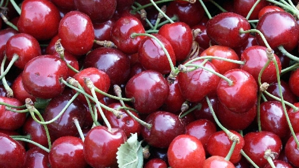 un kilogram de cirese costa cat un gram de aur