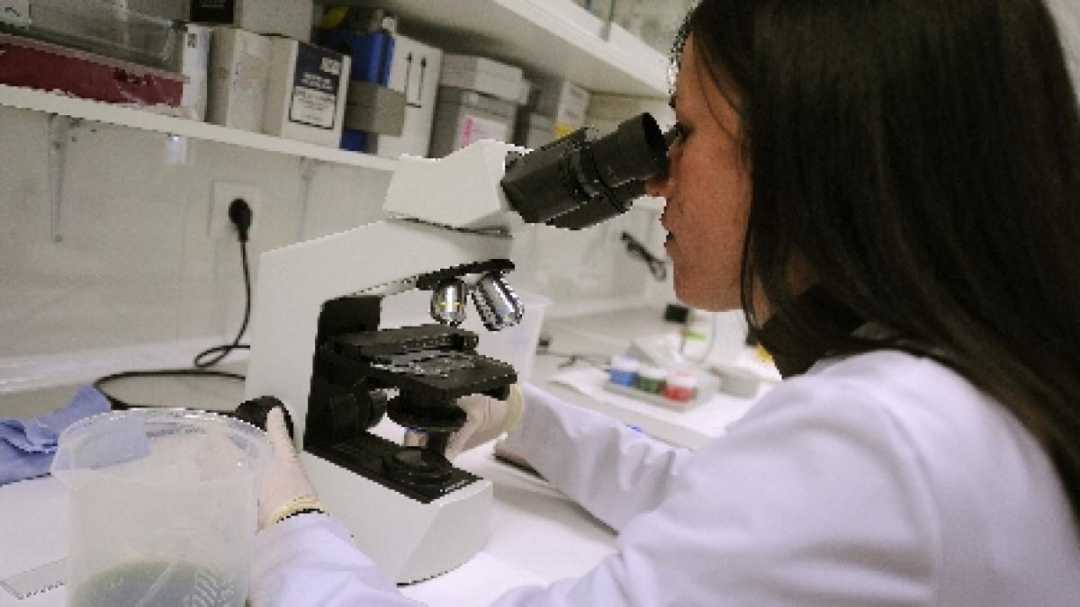 chimicale daunatoare descoperite in produse pentru bebelusi