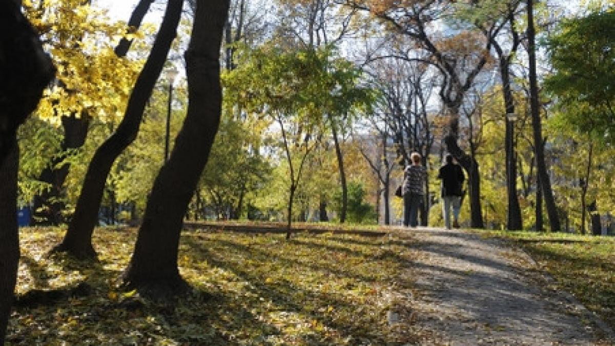 Protest în Alba Iulia, faţă de decizia Primăriei de tăia copacii unui parc