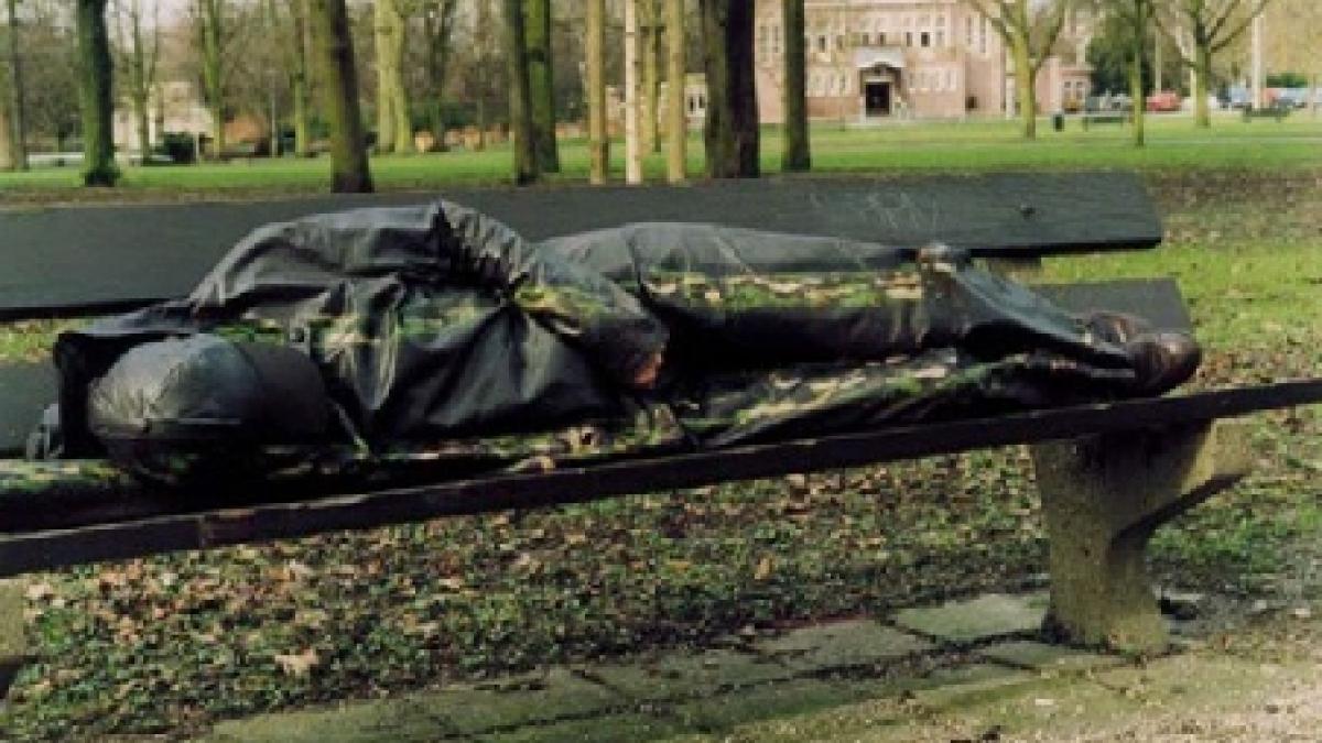 o banca din parc domiciliul oficial al unui roman din irlanda