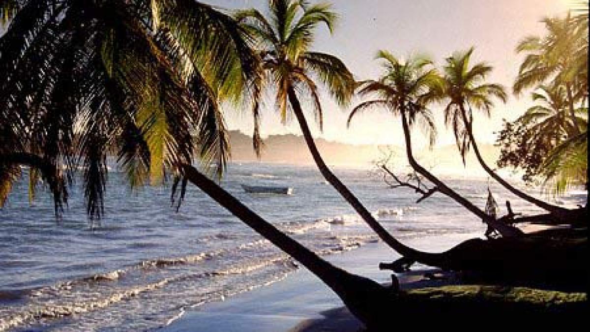 holera se raspandeste in republica dominicana peste o mie de cazuri in toata tara