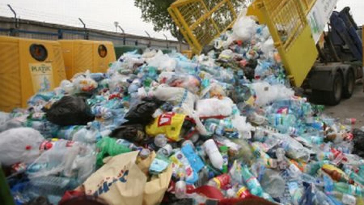 descoperire macabra cadavrul unui nou nascut a fost gasit la groapa de gunoi din vaslui