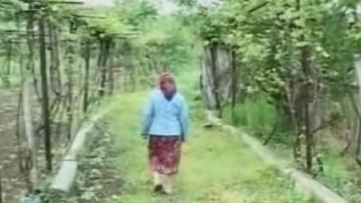 o batrana din valea jiului traieste cu 340 lei pe luna