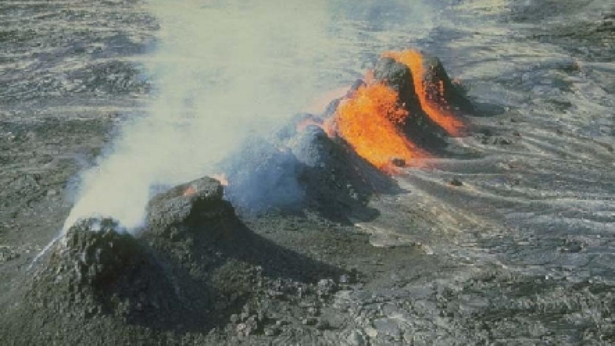 sistem de avertizare in timp real pentru hazarde geologice pe coasta marii negre