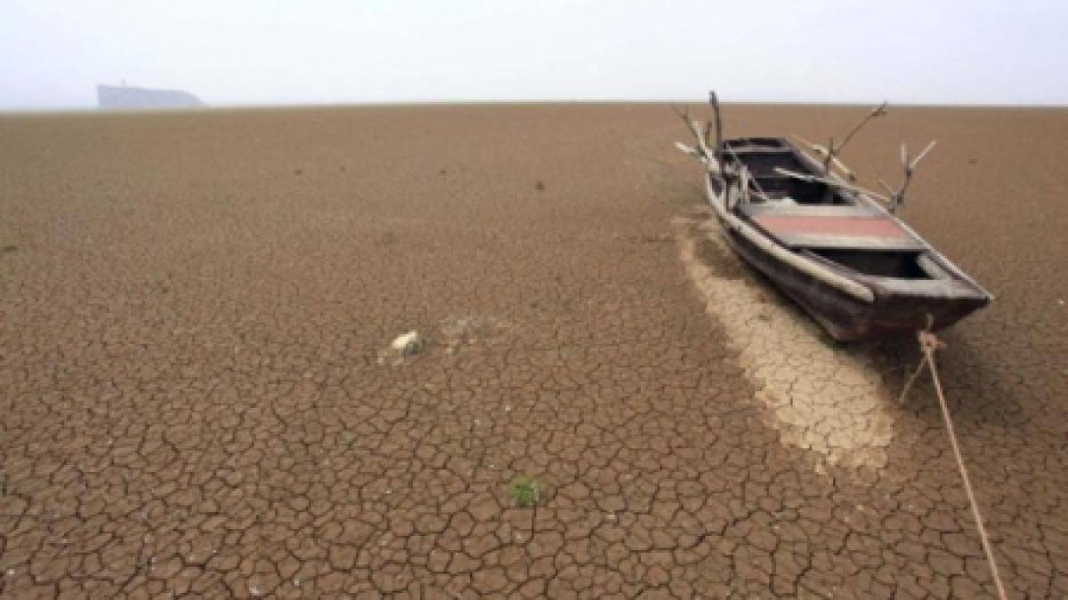 preturile la alimente vor scapa de sub control omenirea se va confrunta cu o criza fara precedent