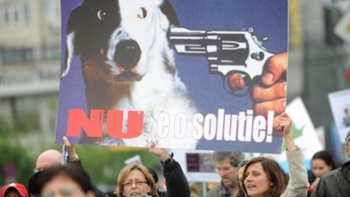 votul final privind legea eutanasierii cainilor fara stapan a fost amanat