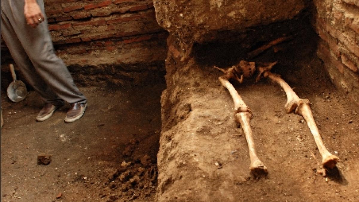 descoperiri arheologice in ialomita un mormant din secolul al viii lea a fost gasit in curtea unui