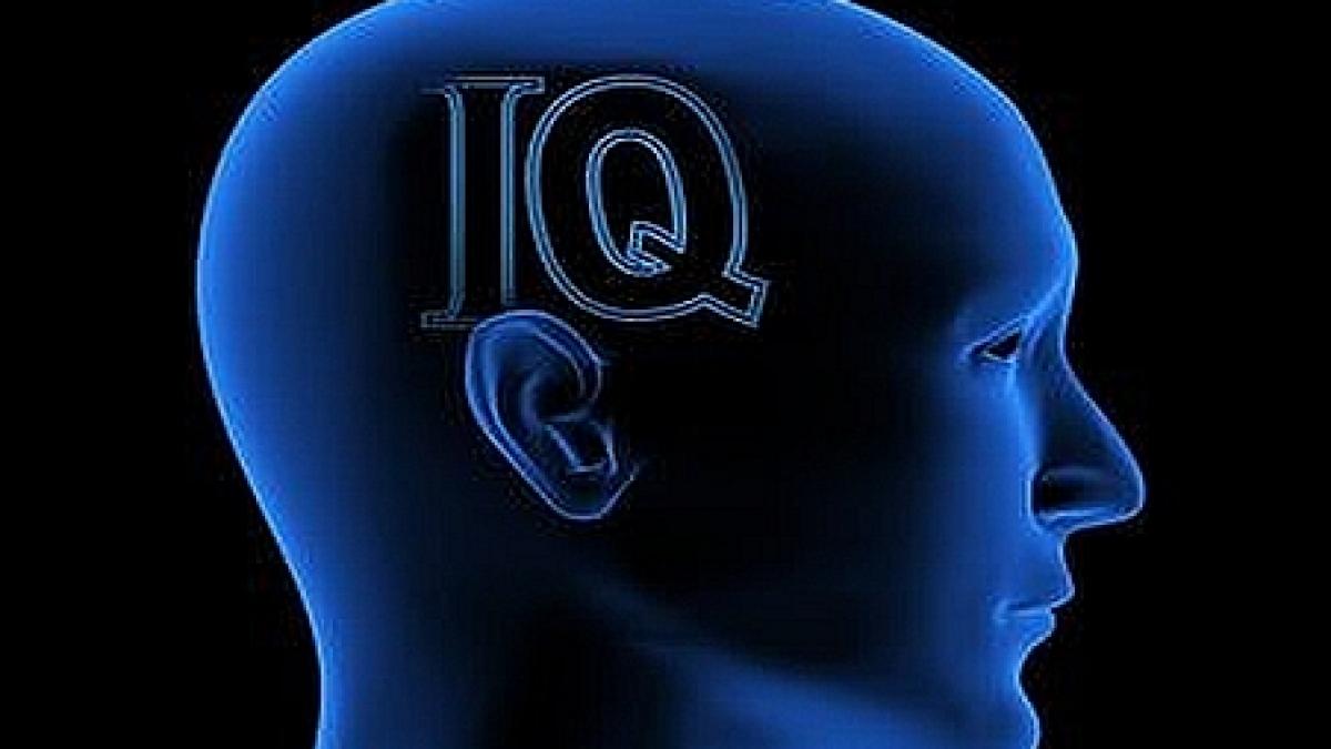 partidul iq o solutie care ar putea scapa romania de coruptie si impostura