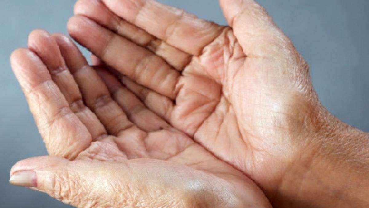 o organizatie nonprofit din new york cere bani oamenilor pentru cauze inexistente