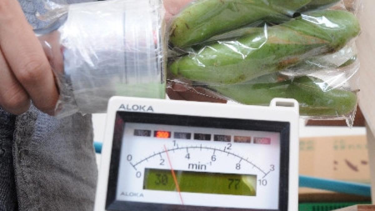 estimarile nivelului de radiatii emise dupa catastrofa de la fukushima dublate de japonezi