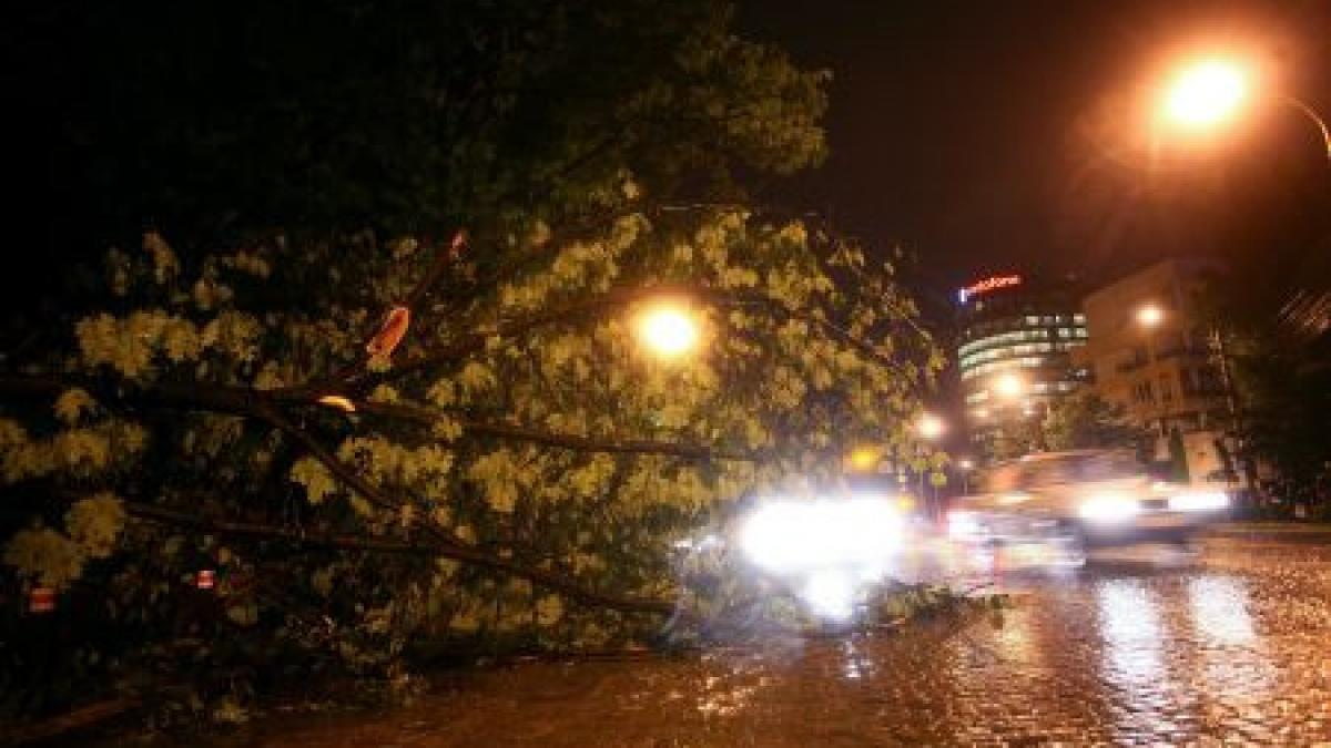 canicula urmata de furtuni vijeliile au facut ravagii in vestul tarii