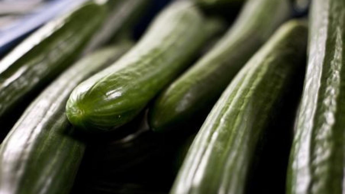 pagubele produse de epidemia e coli depasesc 400 de milioane de euro