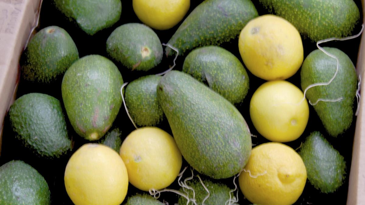 thailanda a gasit e coli in fructele avocado aduse din europa