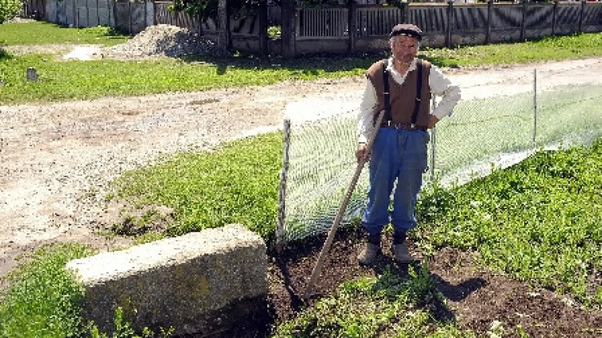 anaf agricultorii care cultiva terenuri mai mari de 20 de hectare vor plati tva