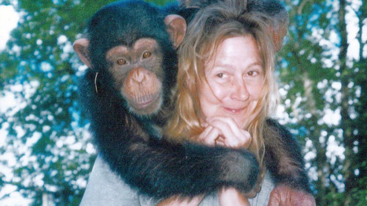 o femeie mutilata acum trei ani de un cimpanzeu a facut transplant de fata