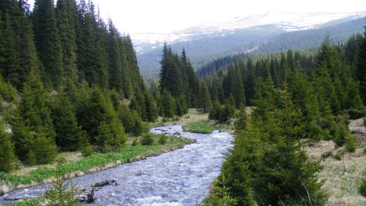 doi oameni au ajuns de la botez la spital dupa ce au cazut intr un parau de munte