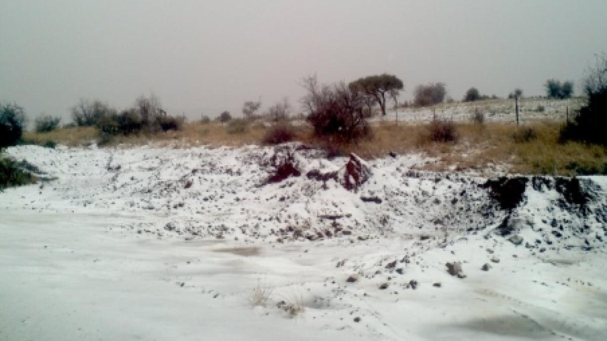 a nins in namib unul din cele mai secetoase deserturi de pe planeta