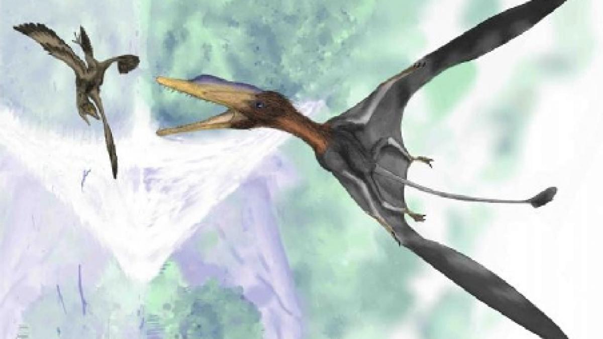 paleontologii din marea britanie au descoperit fosila celui mai mic dinozaur din lume