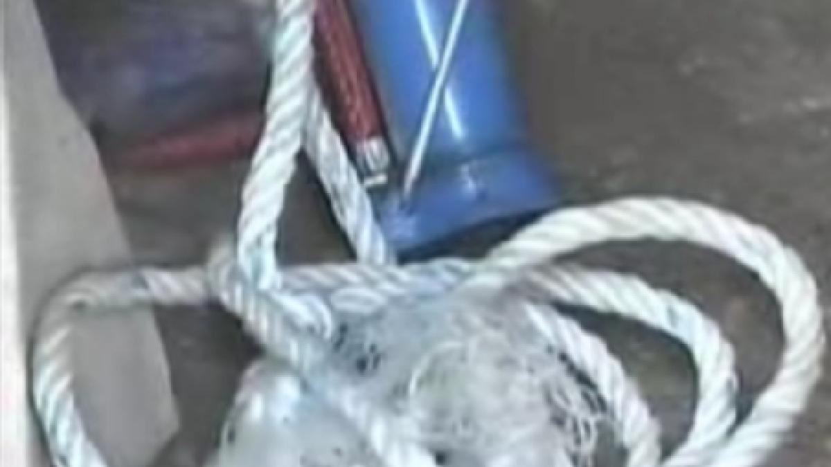 o femeie din vaslui si a legat fata de un copac fiica sa este bolnava psihic