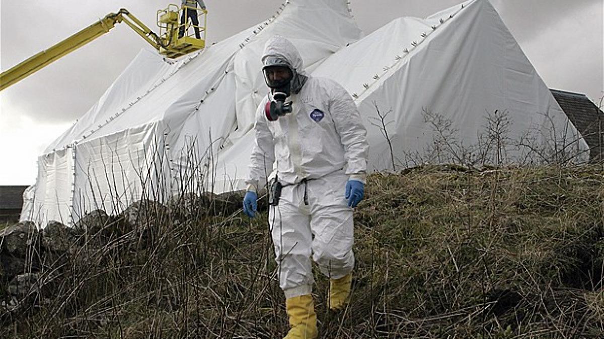 alerta in patru judete la granita cu serbia in urma epidemiei de antrax din tara vecina