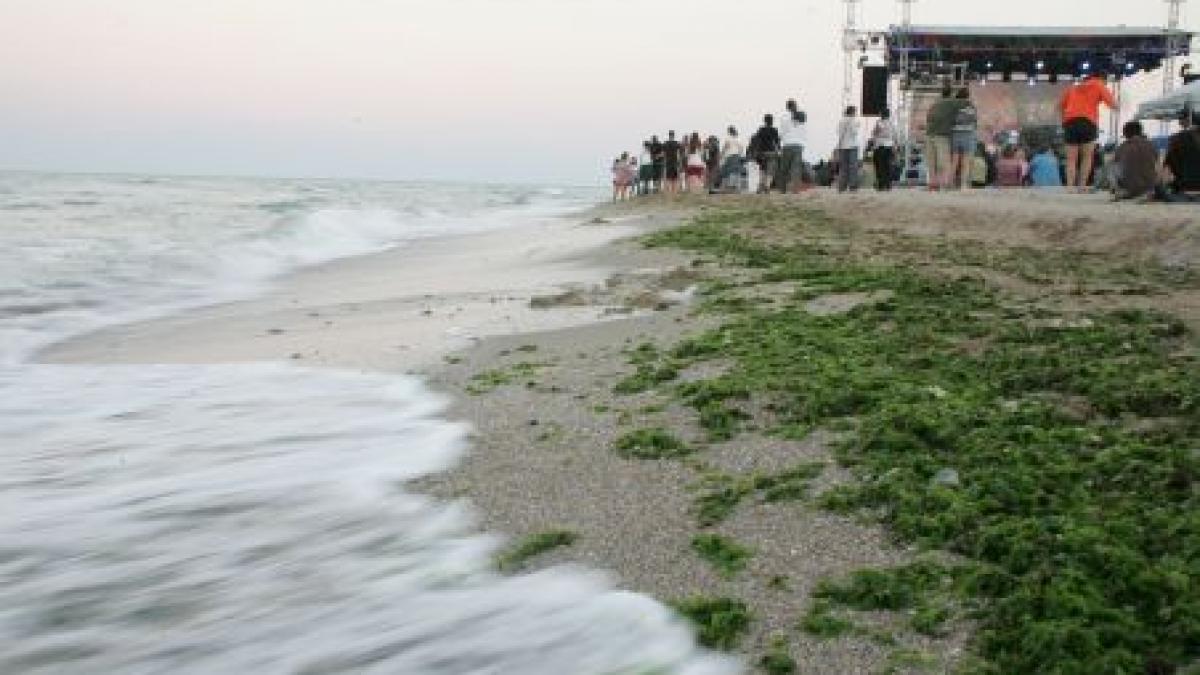 plajele din nordul litoralului invadate de alge