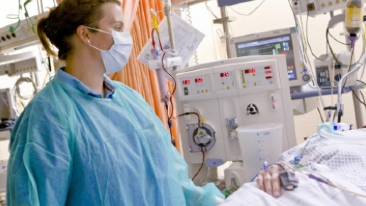 autoritatile germane punctul zero al epidemiei e coli este un rau din frankfurt