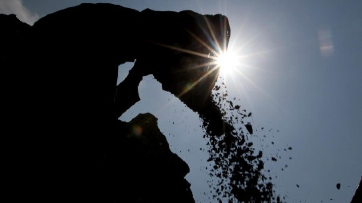 un tanar a fost rapit batut si abandonat intr o cariera de piatra de camatari