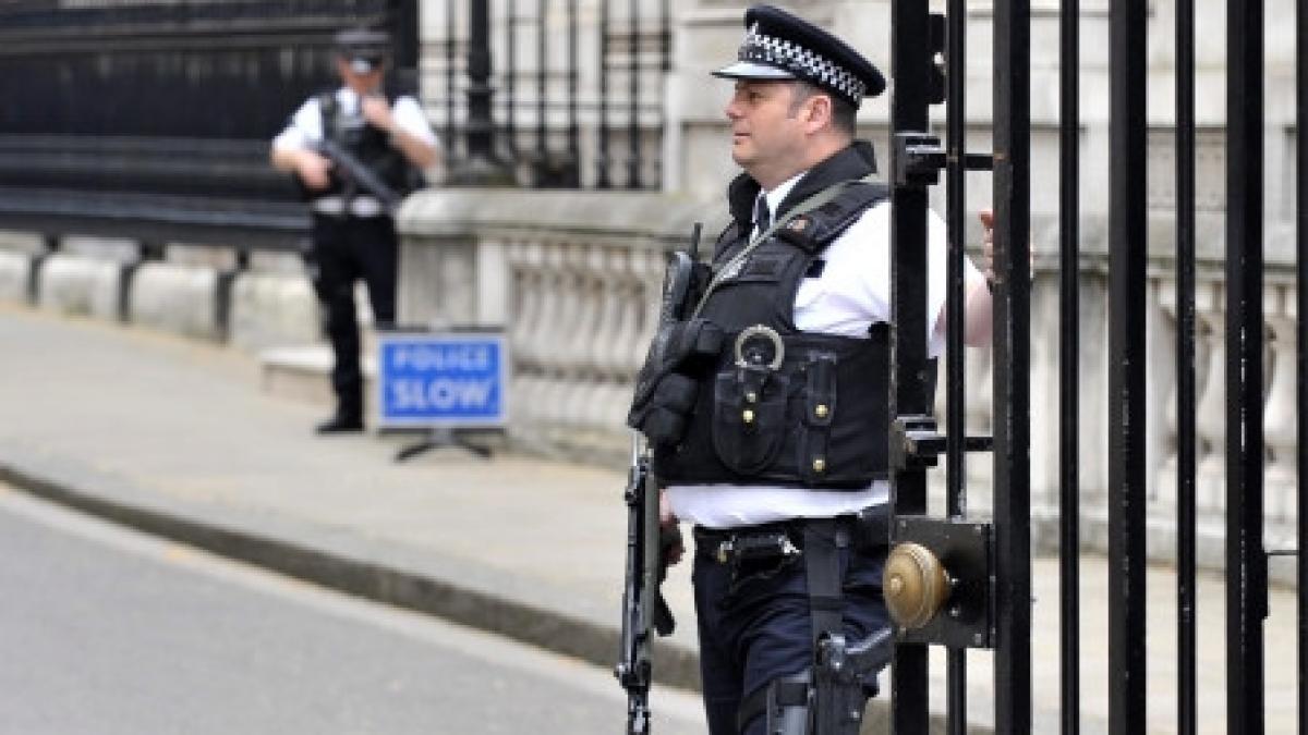 Un tânăr, suspectat a fi membru al grupului LulzSec, a fost arestat în Marea Britanie