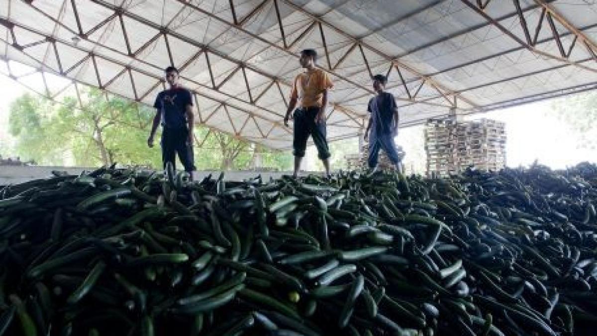 un roman plecat la munca in italia a murit sotia sa acuza conditiile inumane de lucru