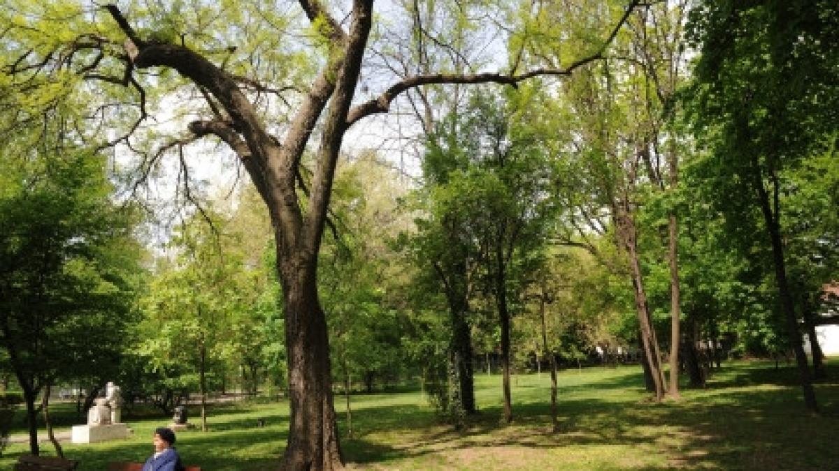 primaria capitalei promite 26 de metri patrati de spatii verzi pentru fiecare bucurestean