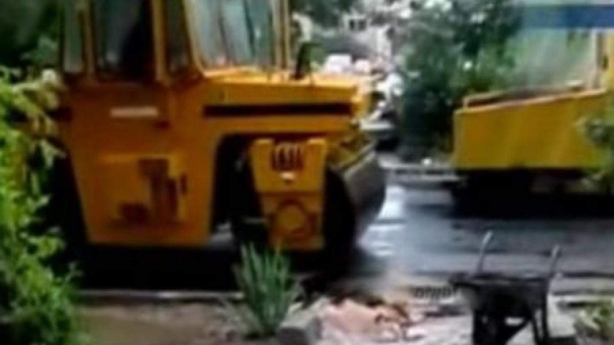 in ploiesti strazile se asfalteaza pe ploaie pentru respectarea termenului de finalizare