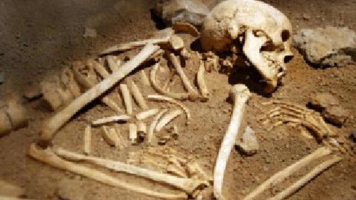 ucraina oseminte de homo sapiens vechi de 32 000 de ani descoperite in crimeea
