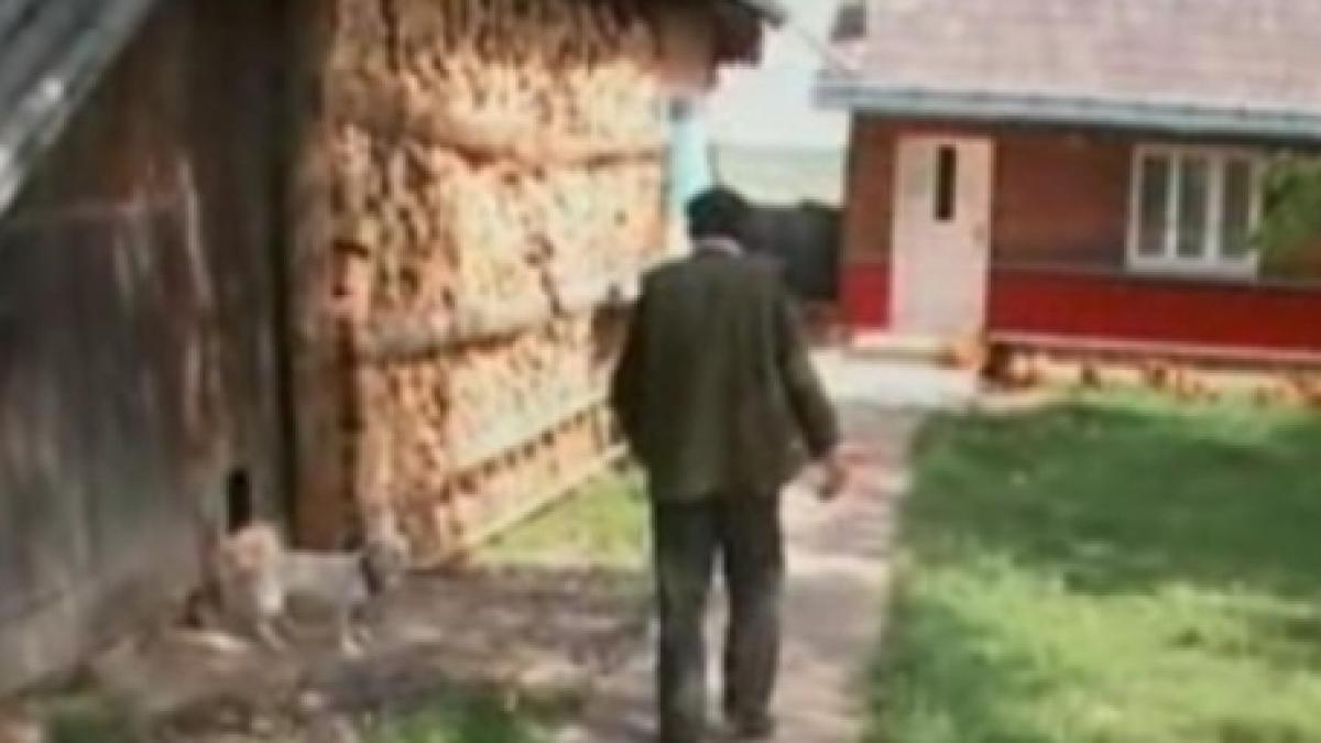 un sucevean acuzat de viol si crima in belgia a fost prins de politistii suceveni