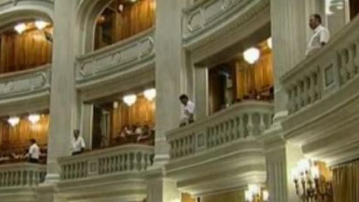 parlamentarii si au angajat paznici la balcoane dupa incidentul cu sobaru