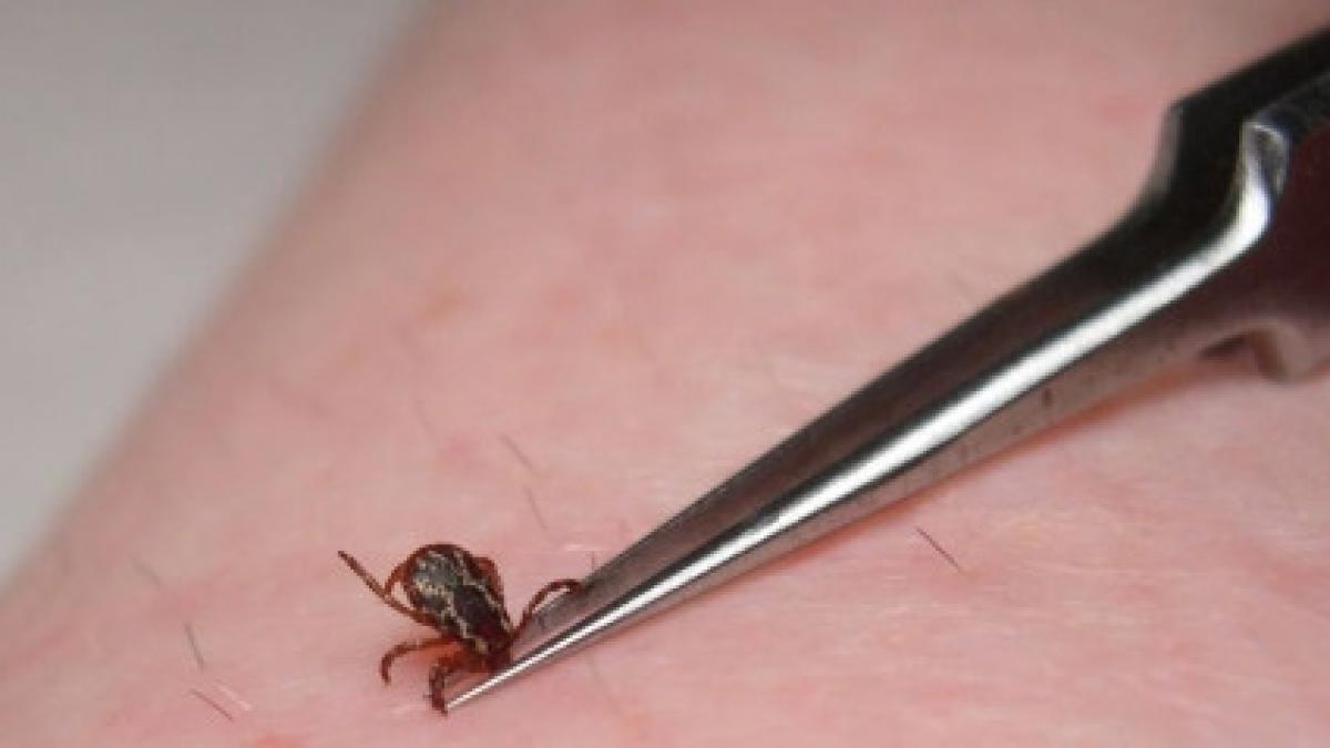 iasi capusele au bagat un mire in spital